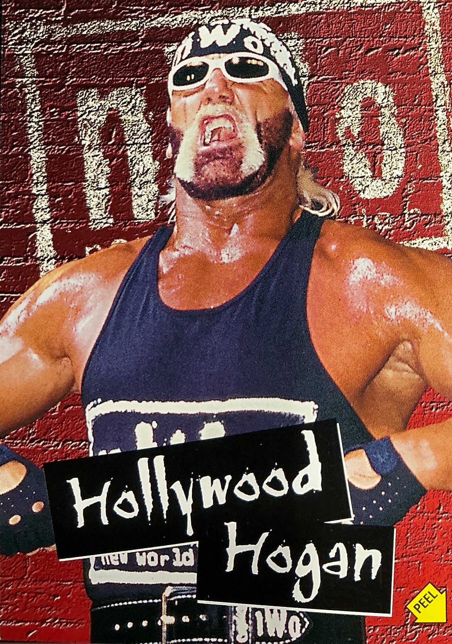 Topps Hollywood Hogan WCW NWO Trading Card